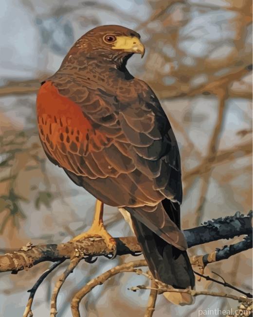 Aesthetic Hawk Eagle Painting By Numbers Kits
