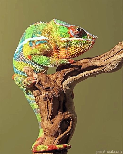 Green Chameleon Painting By Numbers Kits