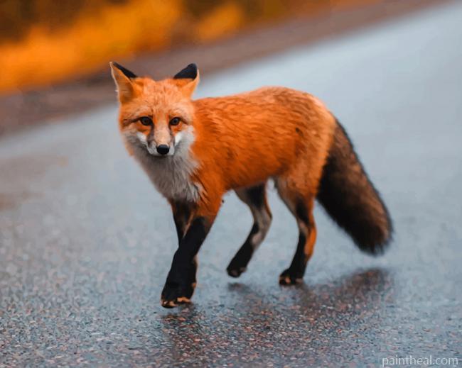 Brown Fox On Gray Asphalt Painting By Numbers Kits
