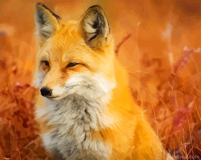 Fox In Wildlife Painting By Numbers Kits