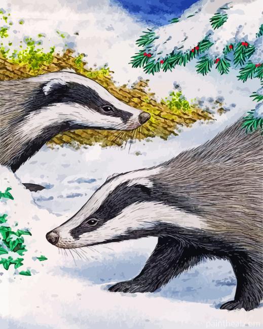 Badgers In Snow Painting By Numbers Kits