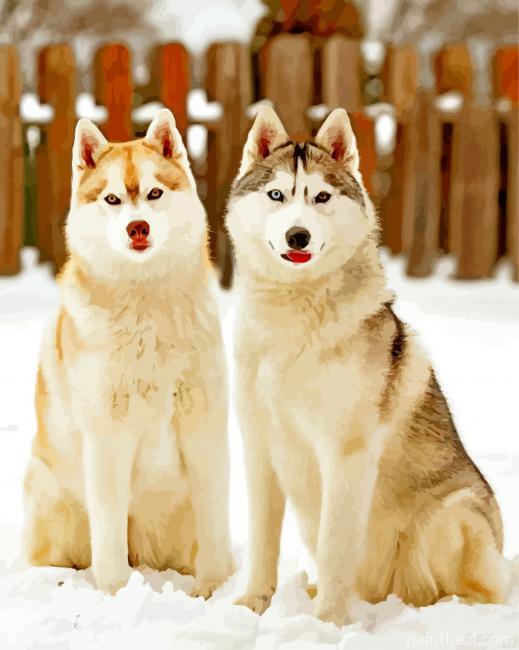 Cute Huskies Painting By Numbers Kits