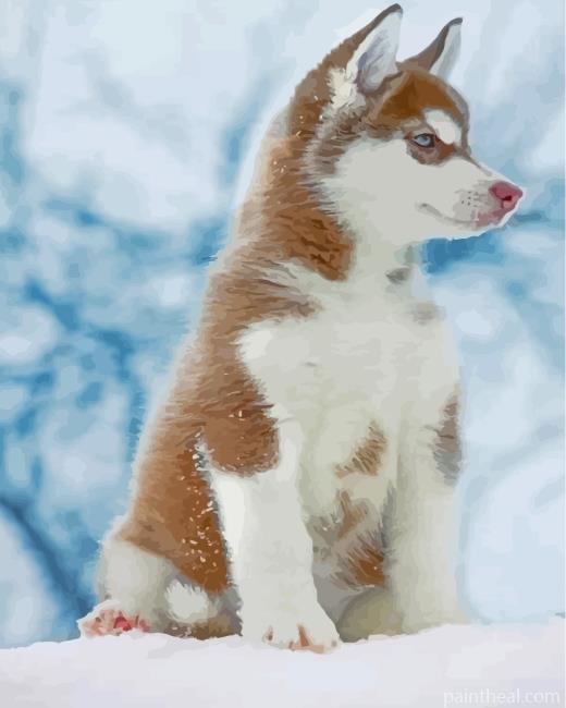 Brown Husky Snow Painting By Numbers Kits