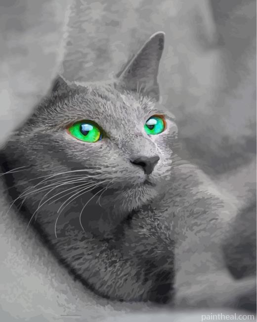 Beautiful Russian Blue Cat Painting By Numbers Kits