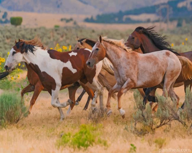 Wild Running Horses Painting By Numbers Kits