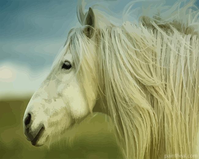 Stallion White Horse Painting By Numbers Kits