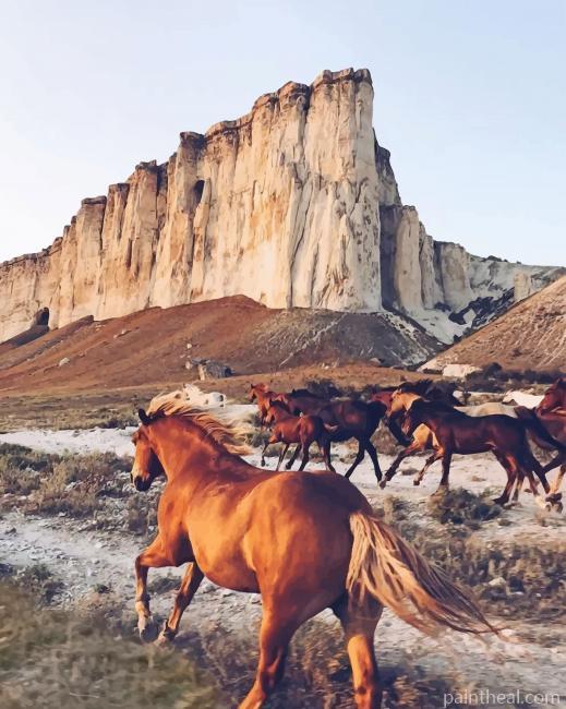 Horses In Desert Painting By Numbers Kits