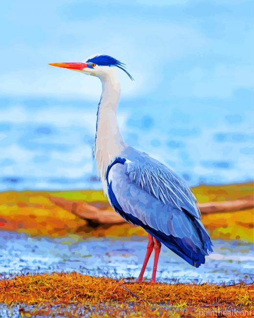 Heron Bird Painting By Numbers Kits