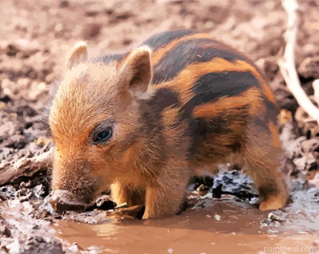 Cute Baby Boar Painting By Numbers Kits