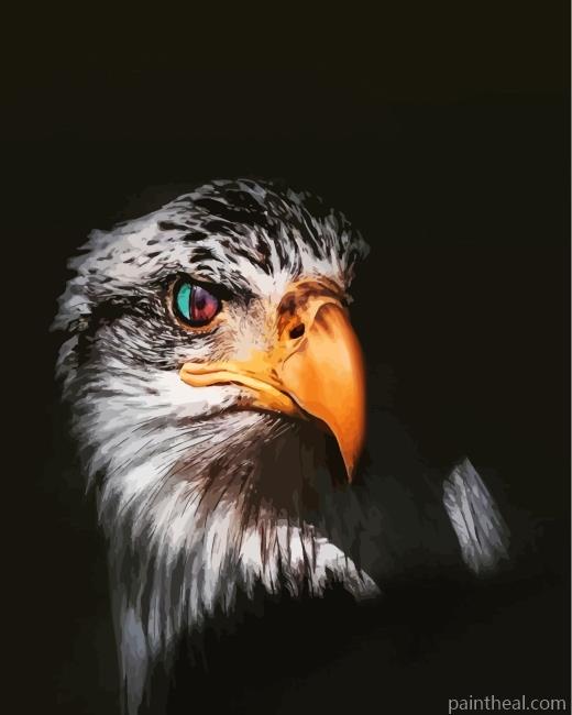 Cool Eagle Eyes Painting By Numbers Kits