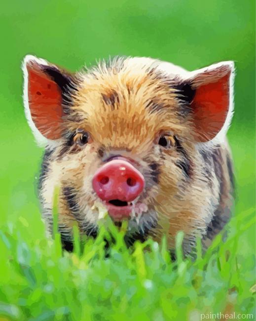 Baby Boar Painting By Numbers Kits