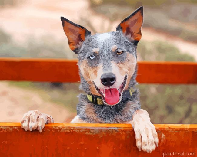 Australian Heeler Painting By Numbers Kits