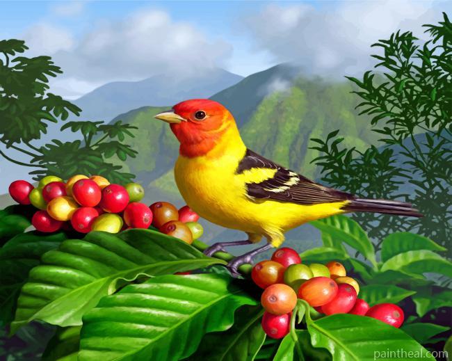 Western Tanager Painting By Numbers Kits