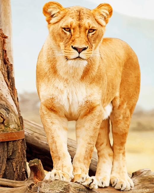 Brown Lioness Standing Painting By Numbers Kits