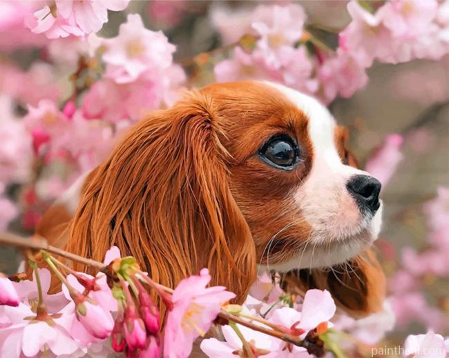Cavalier Puppy And Blossoms Painting By Numbers Kits
