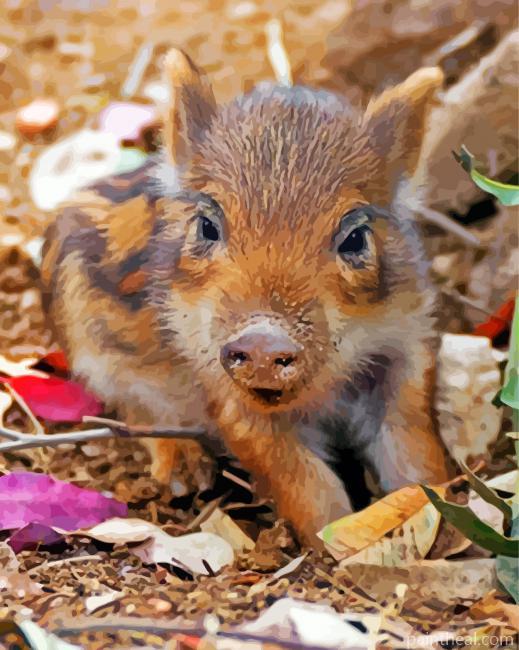 Cute Boar Painting By Numbers Kits