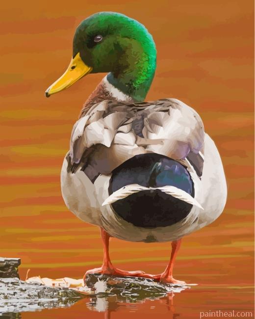 Aesthetic Mallard Painting By Numbers Kits