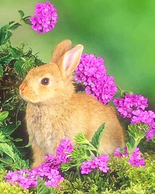 Cute Blonde Bunny Painting By Numbers Kits