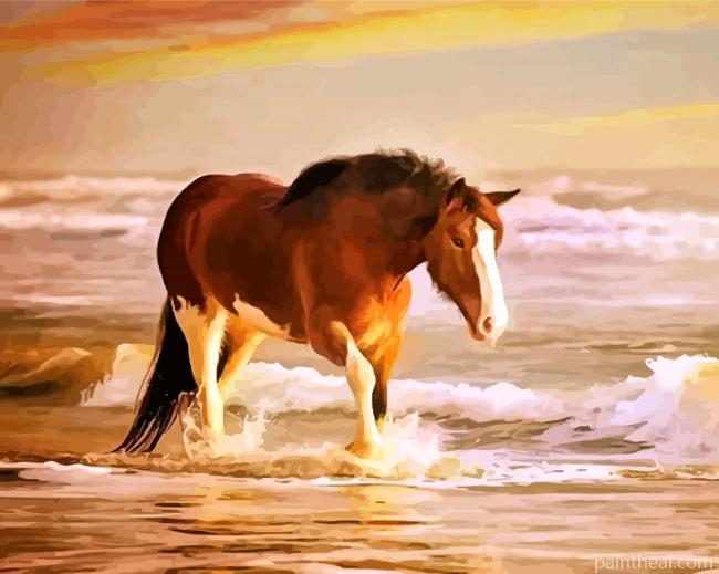 Horse In Sea Painting By Numbers Kits
