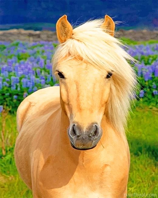 Blonde Horse In The Field Painting By Numbers Kits