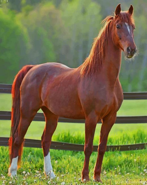 Strong Brown Horse Painting By Numbers Kits