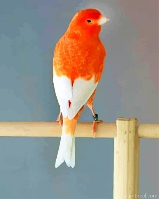 Aesthetic Canary Bird Painting By Numbers Kits