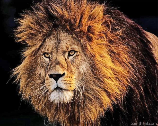 Lion King Of The Jungles Painting By Numbers Kits