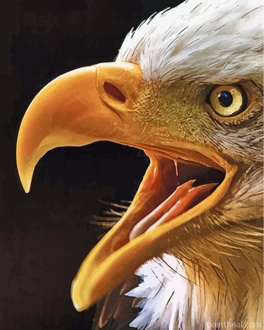 Eagle Eyes Painting By Numbers Kits