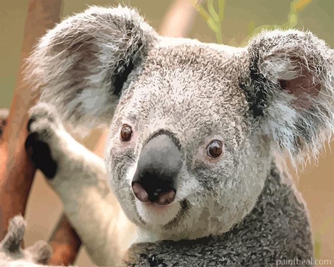 Koala Painting By Numbers Kits
