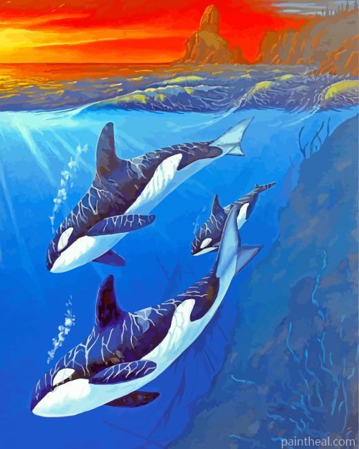 Killer Whale Underwater Painting By Numbers Kits