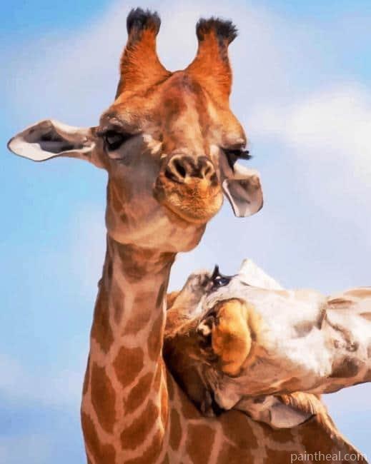 Adorable Giraffes Painting By Numbers Kits