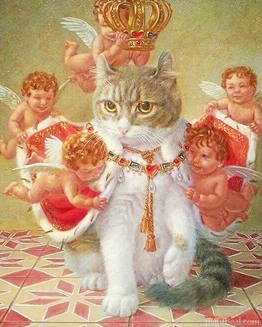 Prince Meow and Angels Painting By Numbers Kits