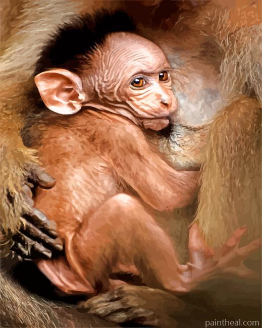 Adorable Baby Macaque Painting By Numbers Kits
