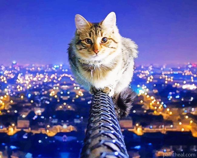 Cat On Top Of The World Painting By Numbers Kits
