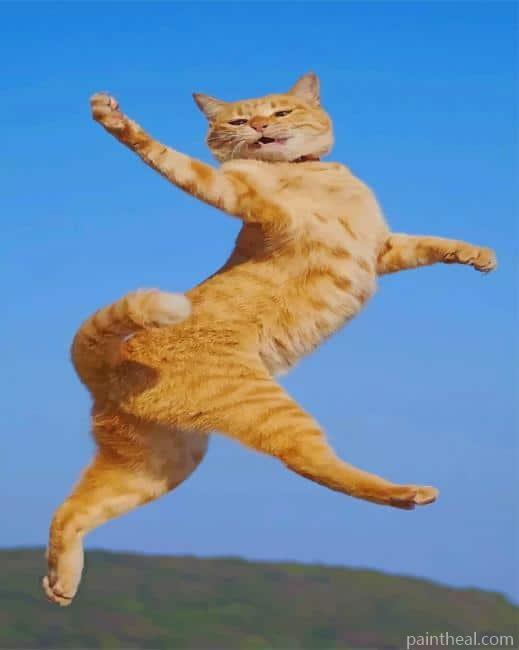 Funny Shot Cat Painting By Numbers Kits