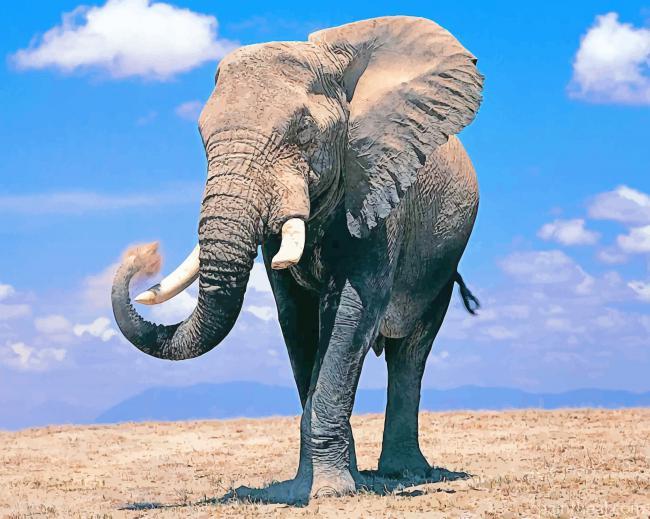 Elephant In Africa Painting By Numbers Kits
