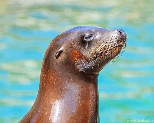 Lovely Otter Painting By Numbers Kits
