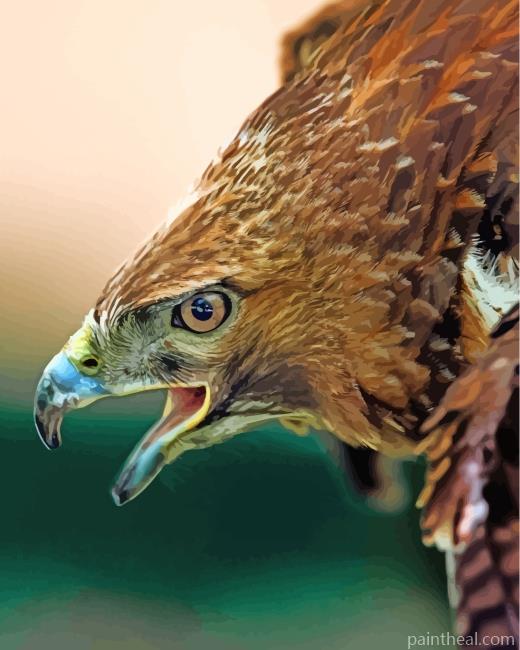 Aesthetic Hawk Eagle Bird Painting By Numbers Kits