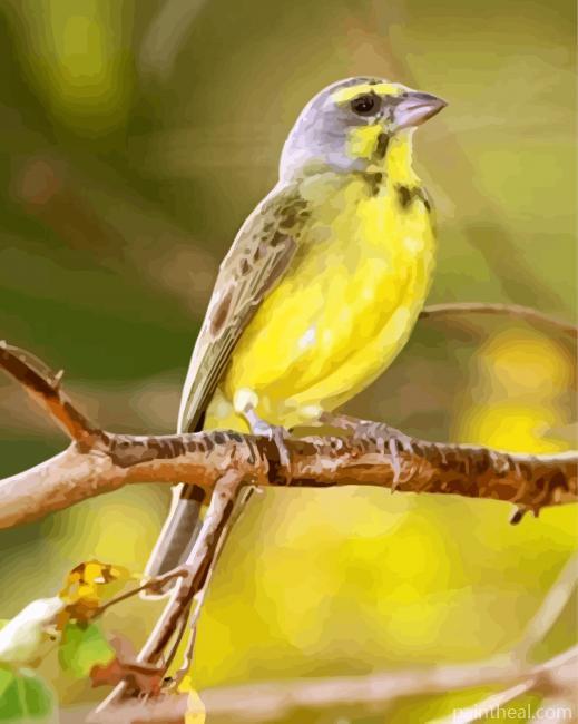 Yellow Canary Painting By Numbers Kits
