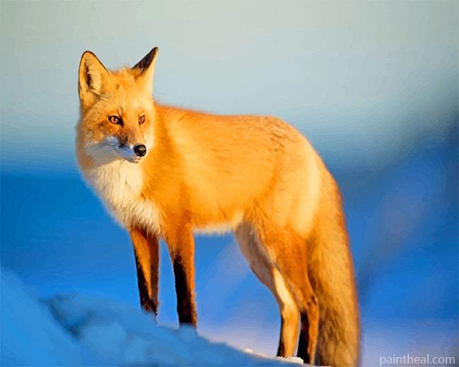 Fox Wildlife Painting By Numbers Kits