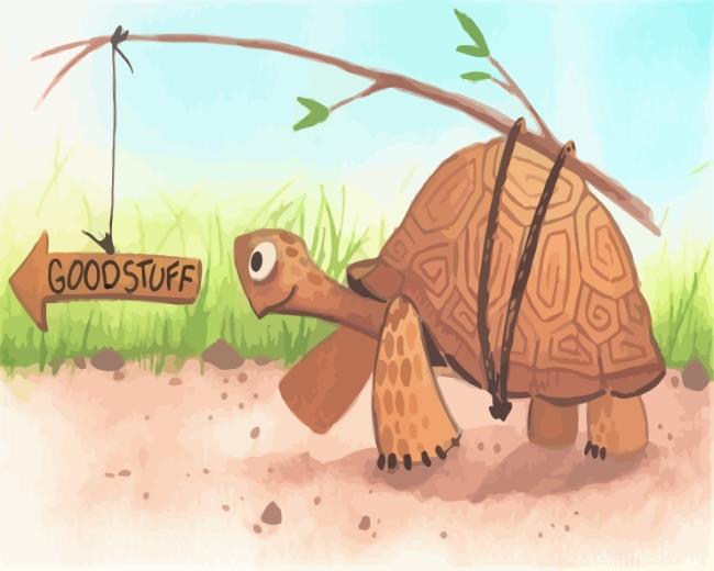 Tortoise Painting By Numbers Kits