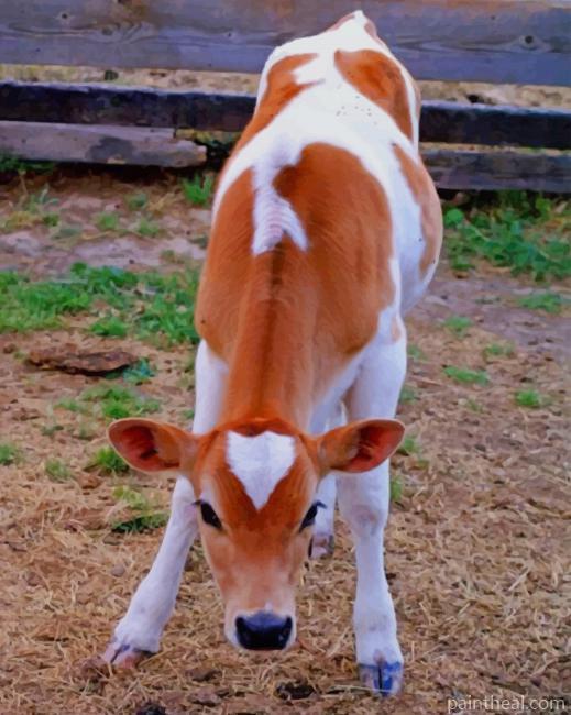 Cute Cow Painting By Numbers Kits