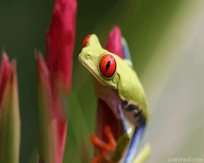 Red Eyes Frog Painting By Numbers Kits