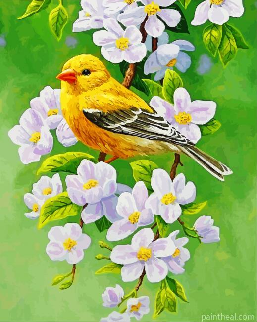 Goldfinch Blossoms Bird Painting By Numbers Kits
