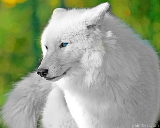 White Wolf Blue Eyes Painting By Numbers Kits