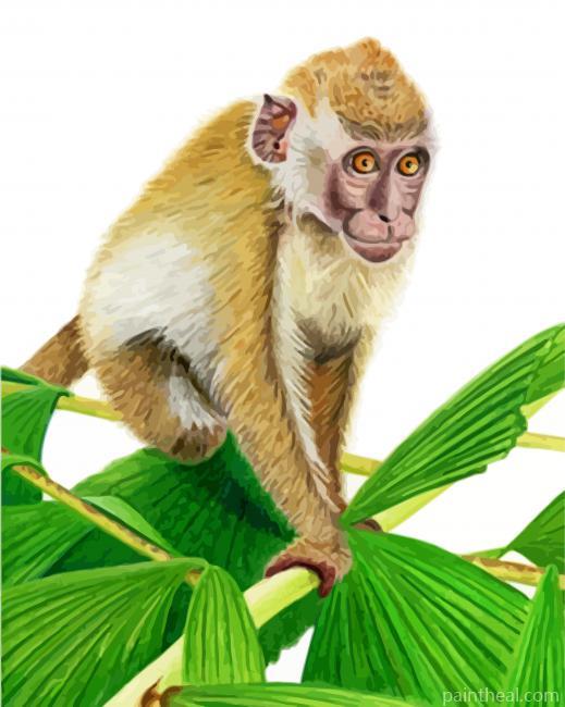 Aesthetic Macaque Painting By Numbers Kits