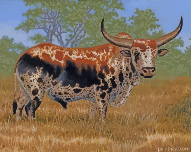 Nguni Bull Painting By Numbers Kits