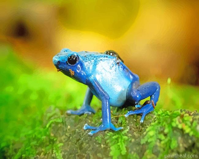 Blue Frog Closeup Painting By Numbers Kits