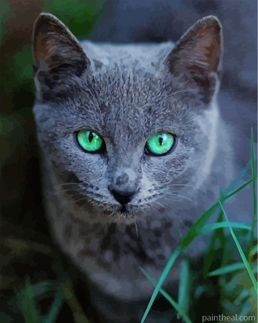 Russian Blue Cat Pet Painting By Numbers Kits