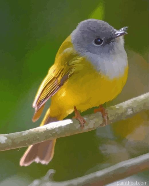 Aesthetic Canary Painting By Numbers Kits